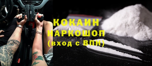 трава Гусиноозёрск