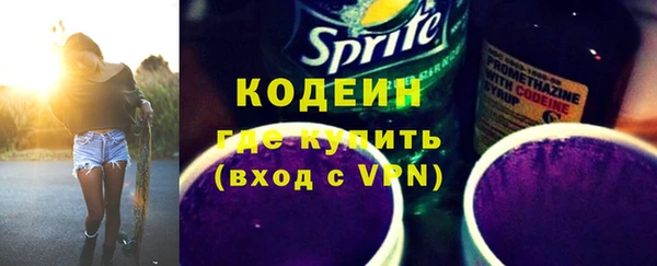 первитин Гусев
