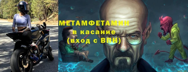 прущие грибы Горно-Алтайск