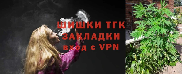 трава Гусиноозёрск