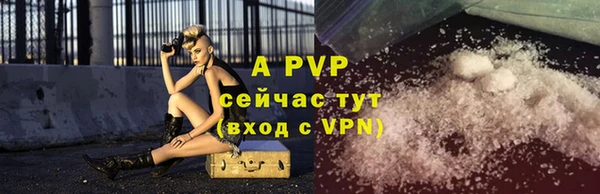 трава Гусиноозёрск
