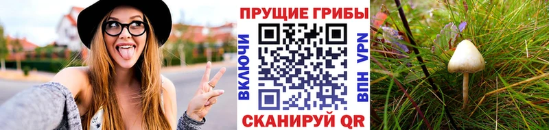 Псилоцибиновые грибы мицелий  Родники 